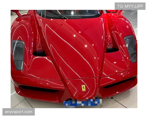 恩佐·费尔南德斯训练完回家路上顺手买了辆法拉利？