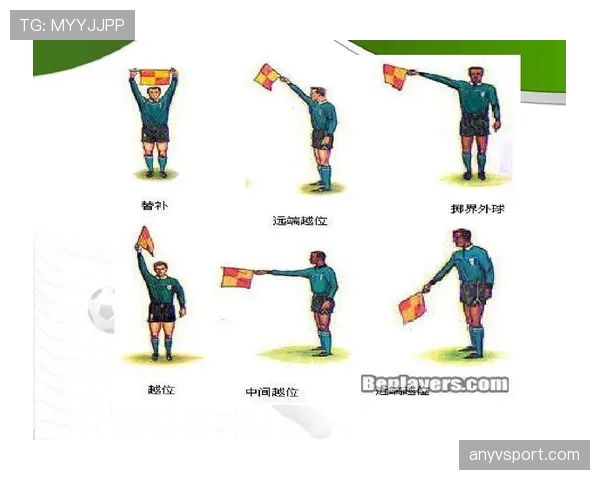 掷界外球的具体规则与判罚条件详解